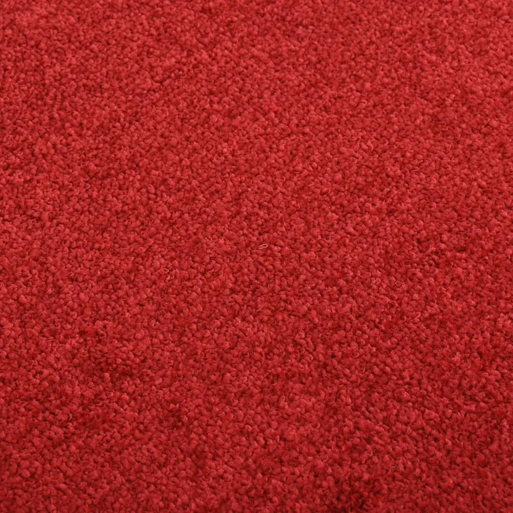 Doormat  Red 40x60 cm